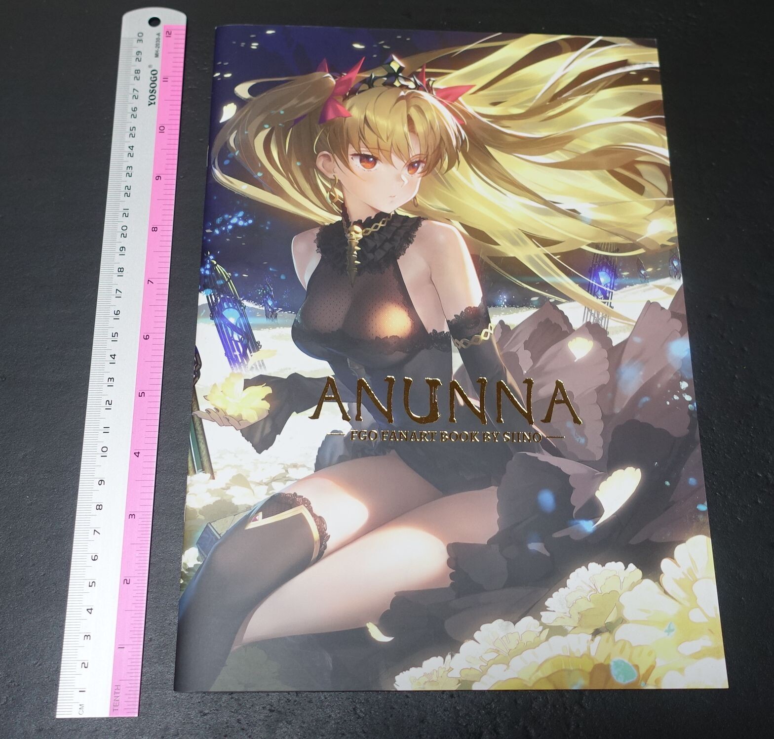 Siino Kasei Dai 13 Ku Fate Grand Order FGO Color Fan Art Book ANUNNA