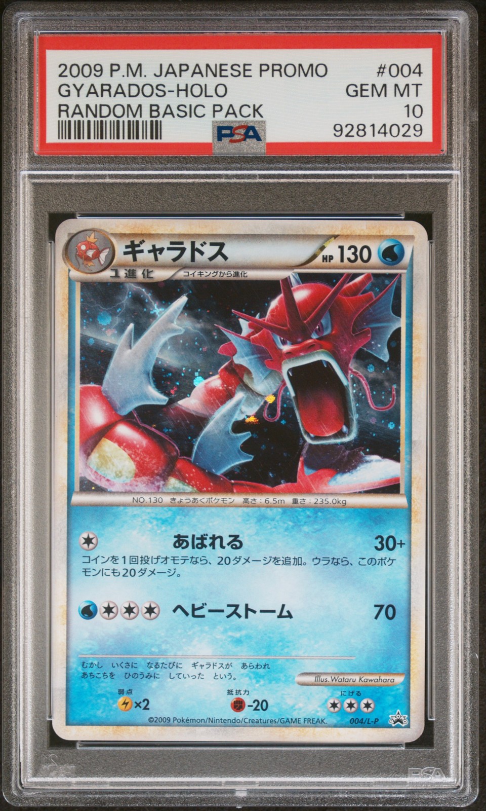 Gyarados Holo 004 Random Basic Pack Promo Pokemon Japanese PSA 10
