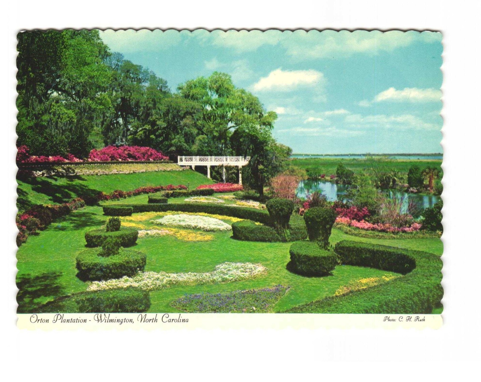 Orton Plantation Wilmington North Carolina vintage postcard unposted