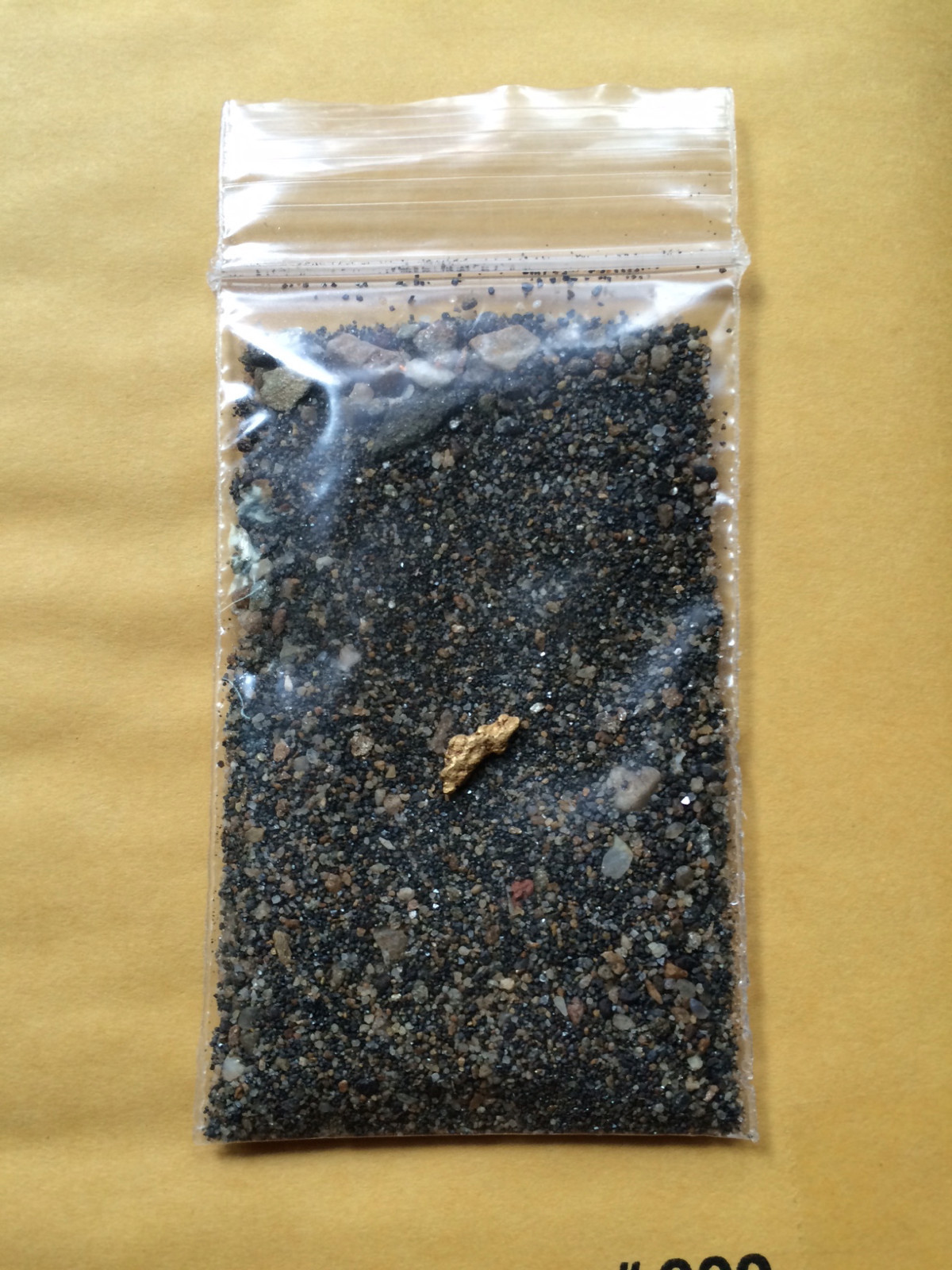 Buy our super Premium GOLD sluice paydirt concentrates 2 ounces