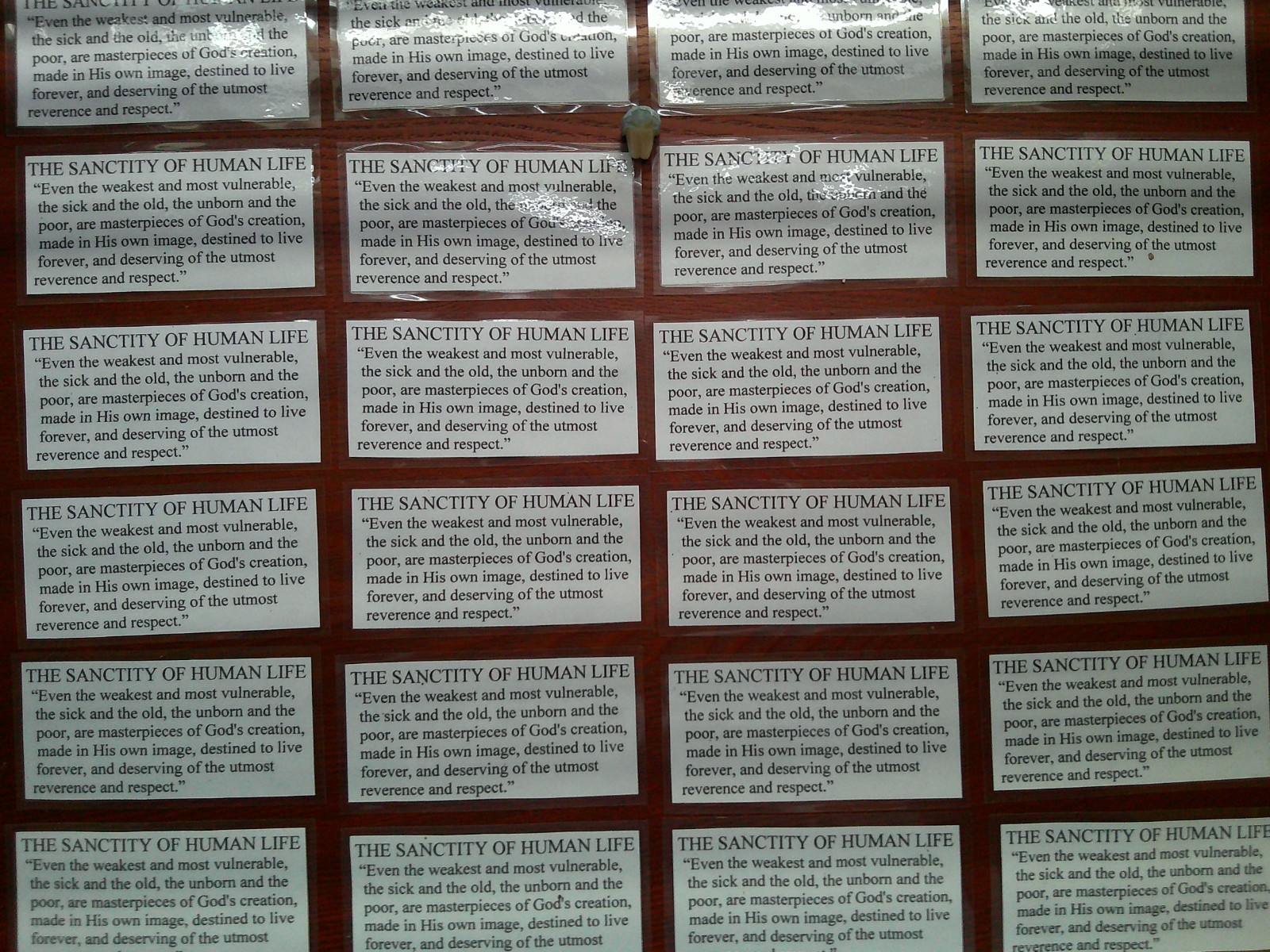 2 DOZEN 