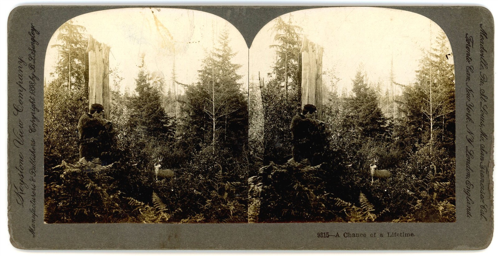 OREGON STEREOVIEW - Deer Hunter Aiming Shot - Keystone c1898 UNCOMMON
