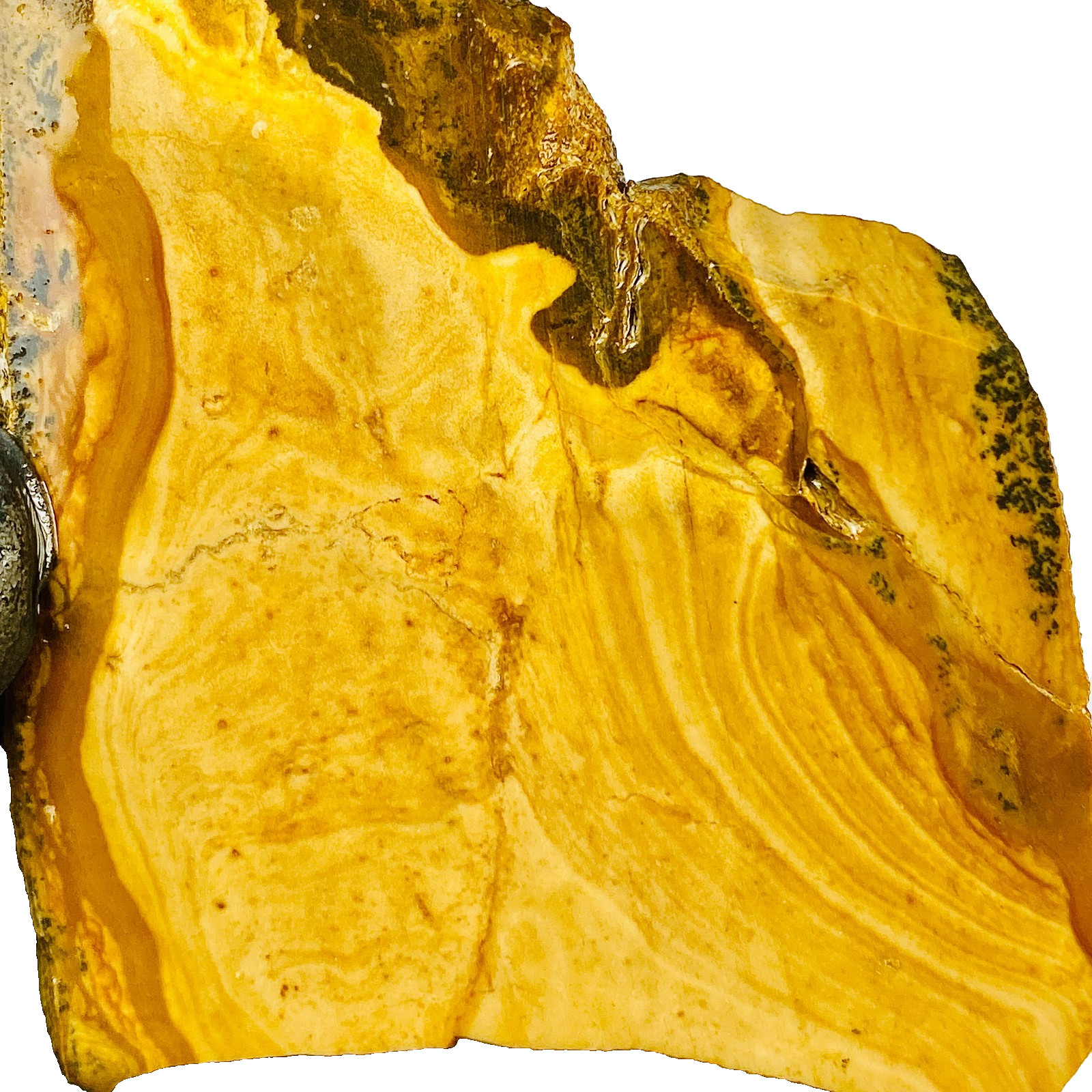Biggs Deschutes Picture Porcelain Jasper Slab Slice Stone Cabbing Rough Oregon