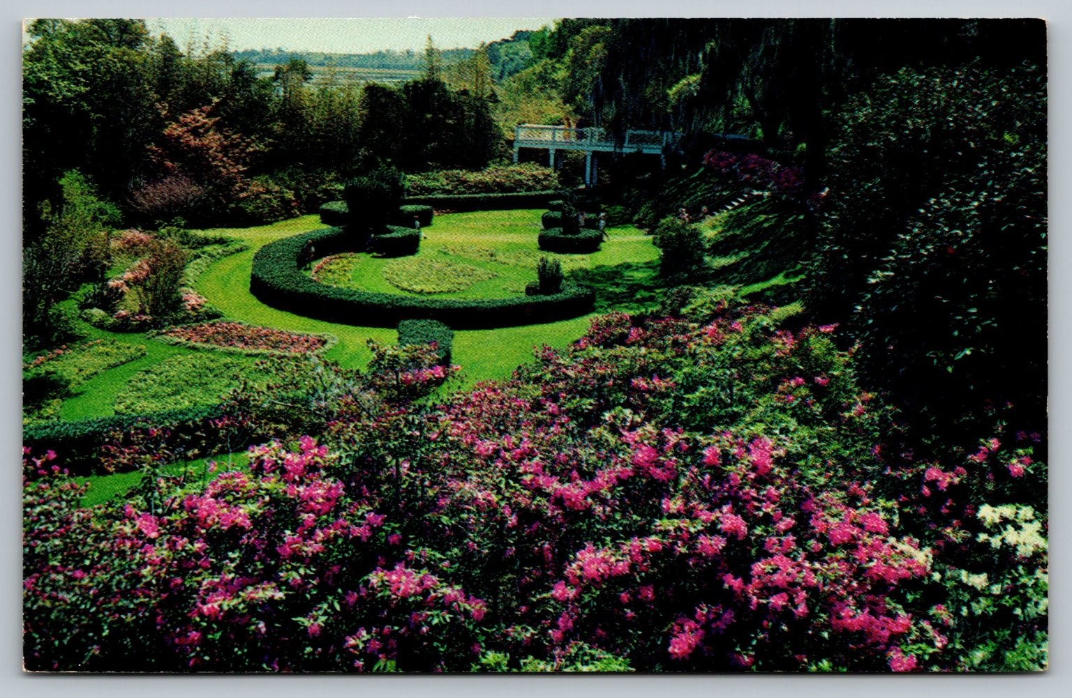 Orton Plantation Gardens North Carolina Vintage Postcard Scroll Garden View