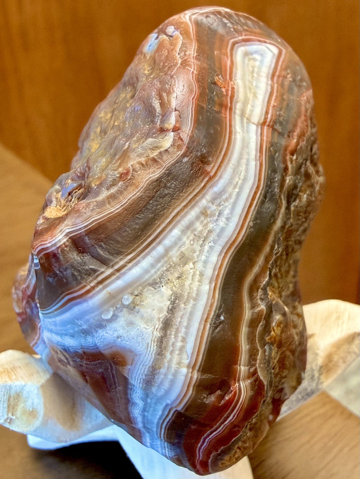 Lake Superior Agate 3.8oz Super Bold Contrast Wrap Around Top Shelf Banding