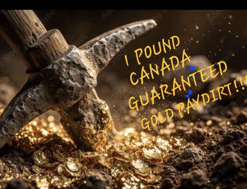 ☆1 lb GOLD & SILVER PAYDIRT☆MINIMUM .15g Of GOLD-1 IN 20 BONANZA