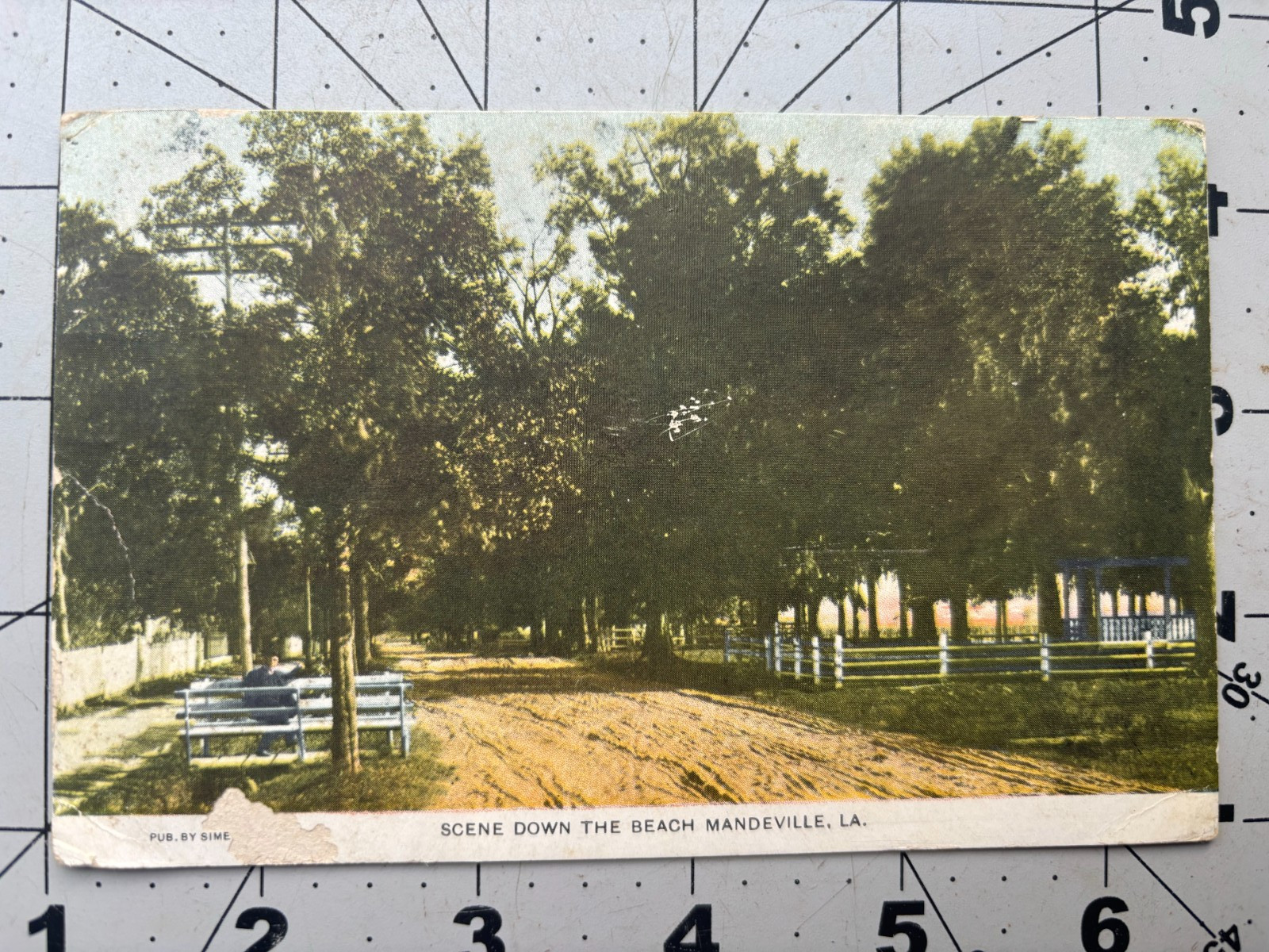 1909 Mandeville LA Scene Down the Beach Postcard Pub by Sime Posted Damaged