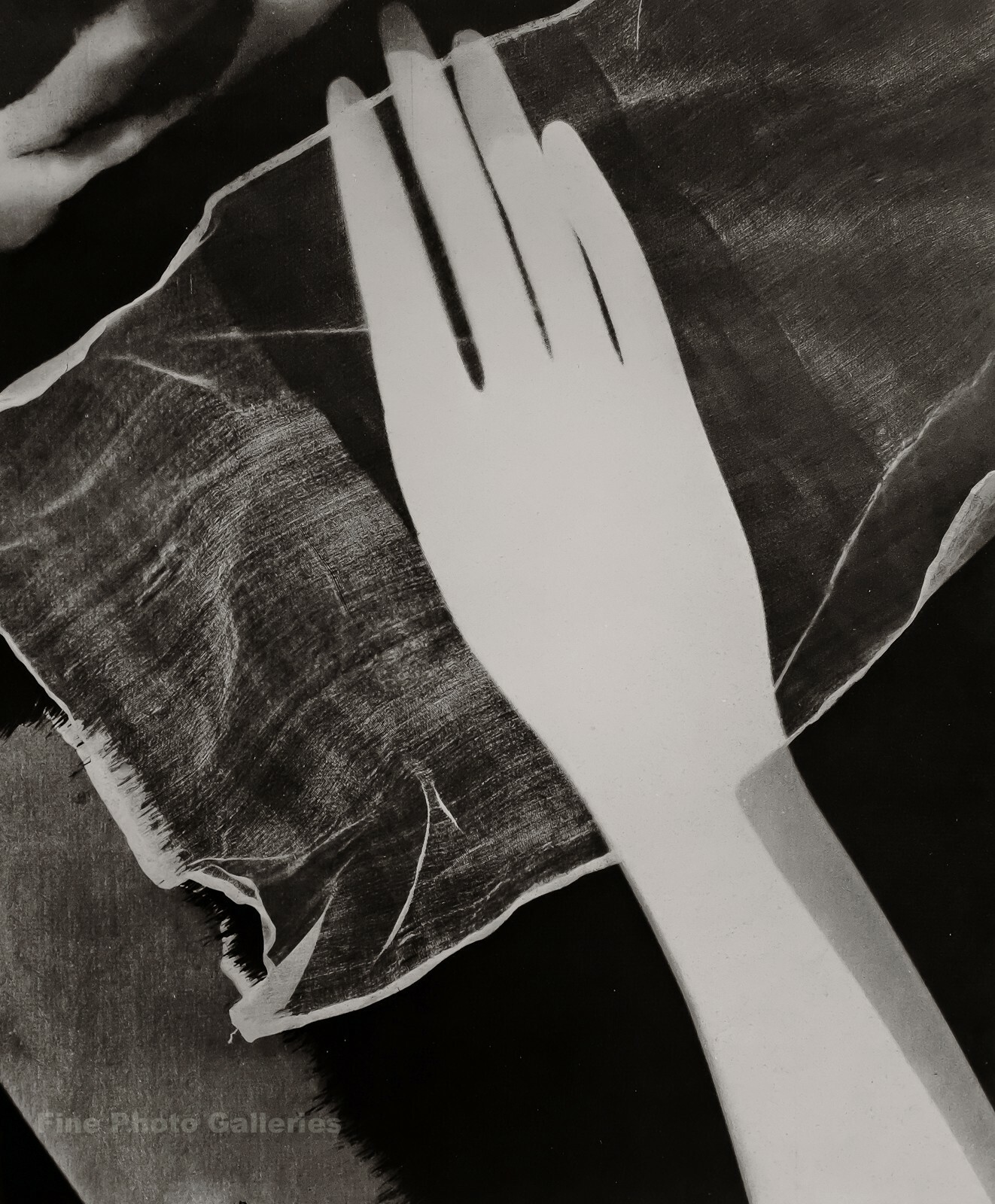 1927/75 MAN RAY Vintage Rayogram Hand Fingers Photogram Abstract Photo Art 12x16