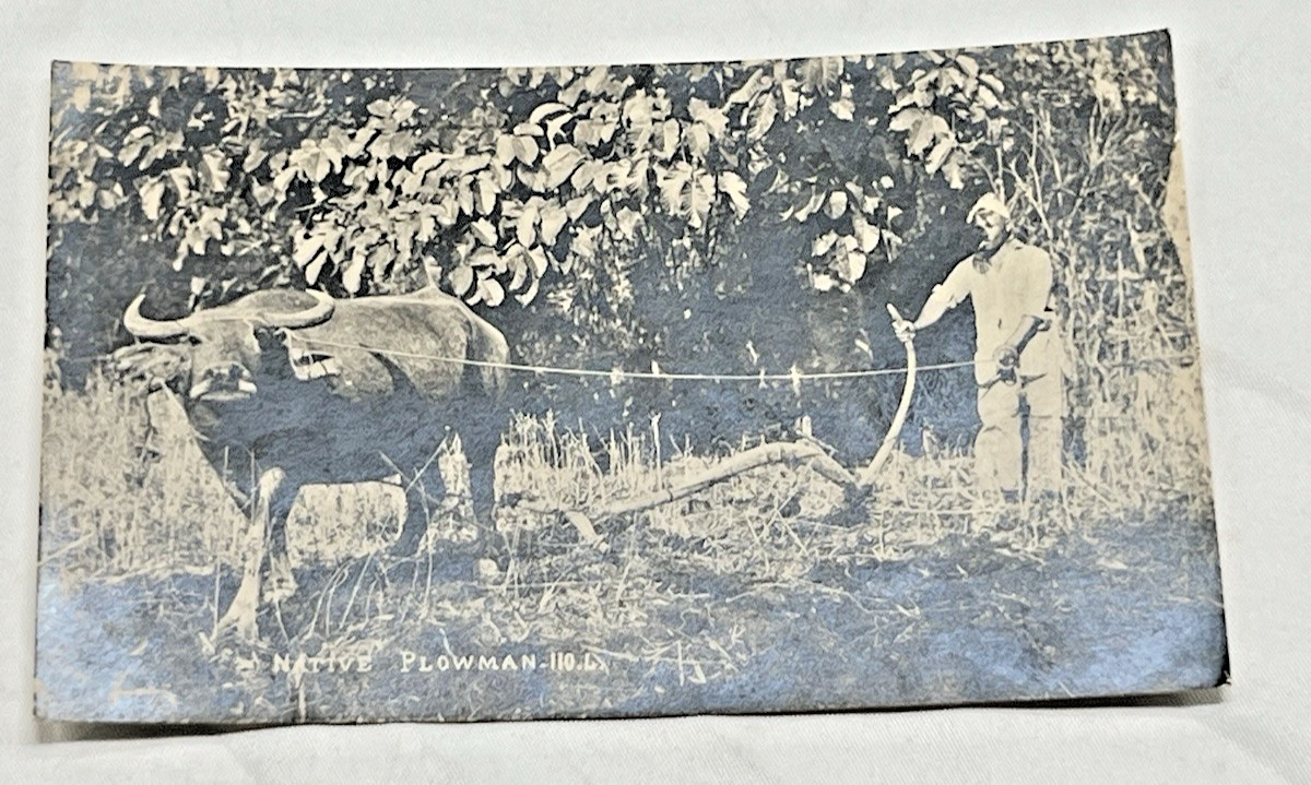 Antique Artura Post Card 