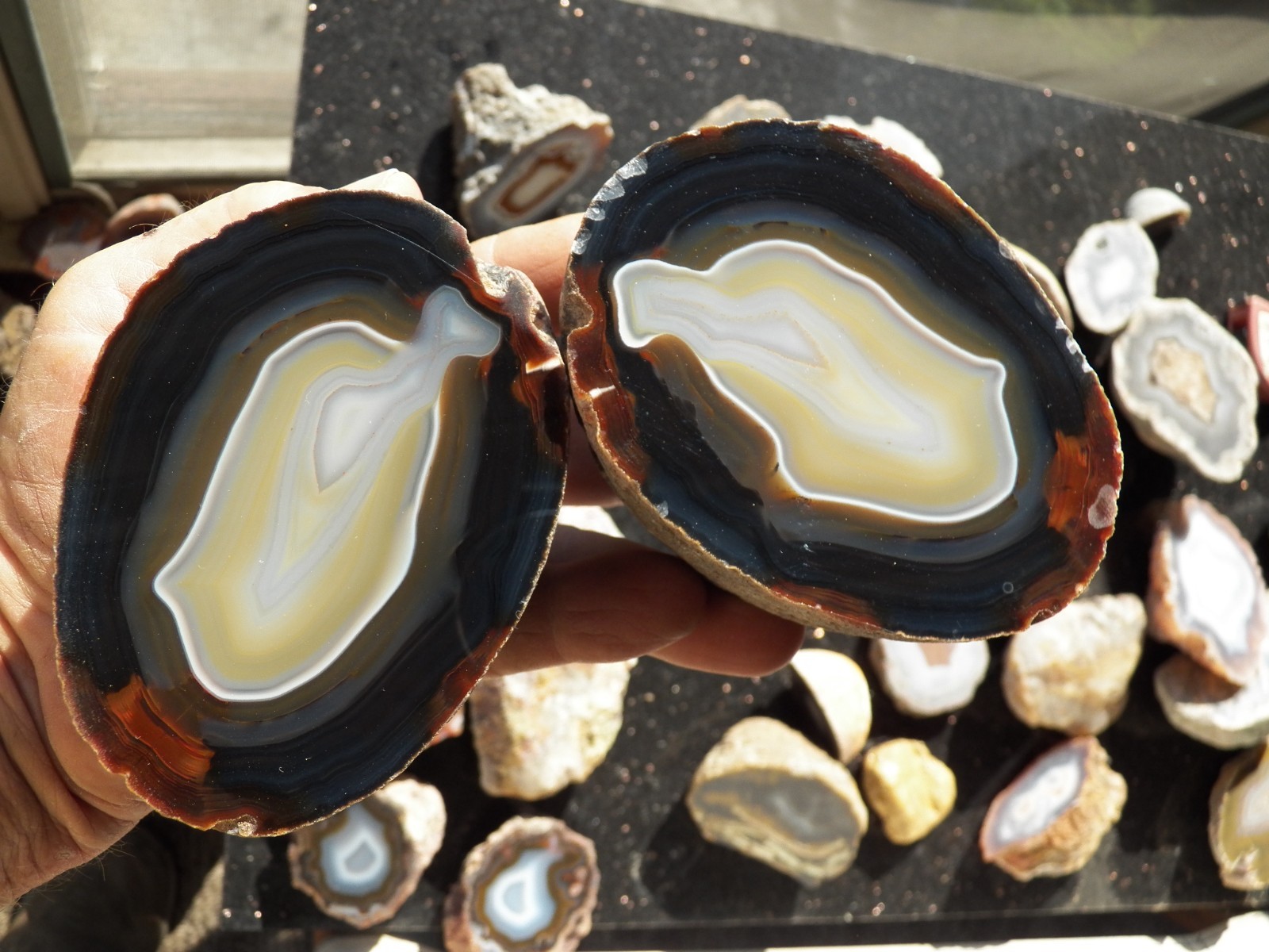 3.4 lb  2 pc Brazil agate specimen gemstone nice contrast mirror polished