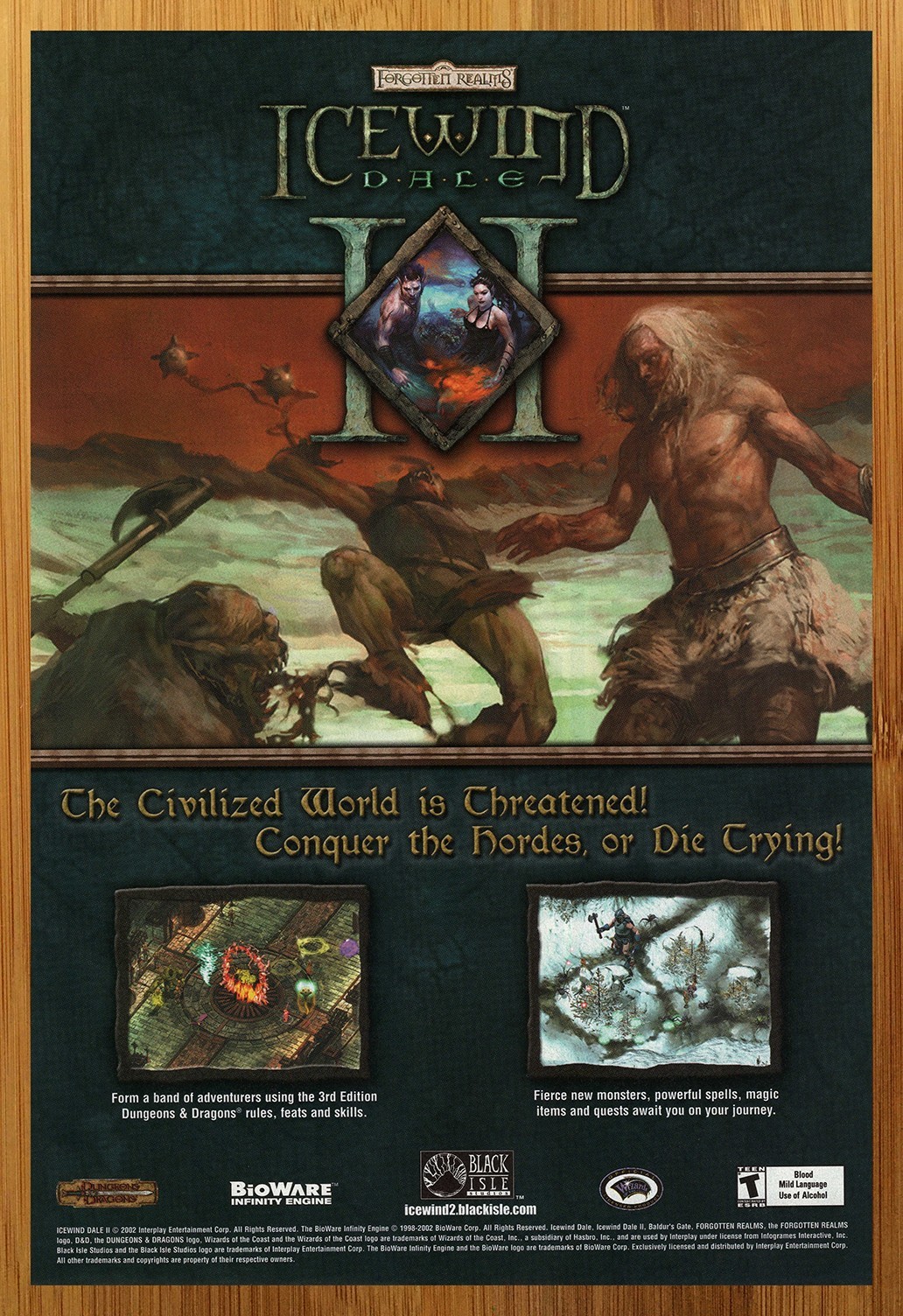 2002 Forgotten Realms Icewind Dale II 2 PC Print Ad/Poster Computer Game Art 00s