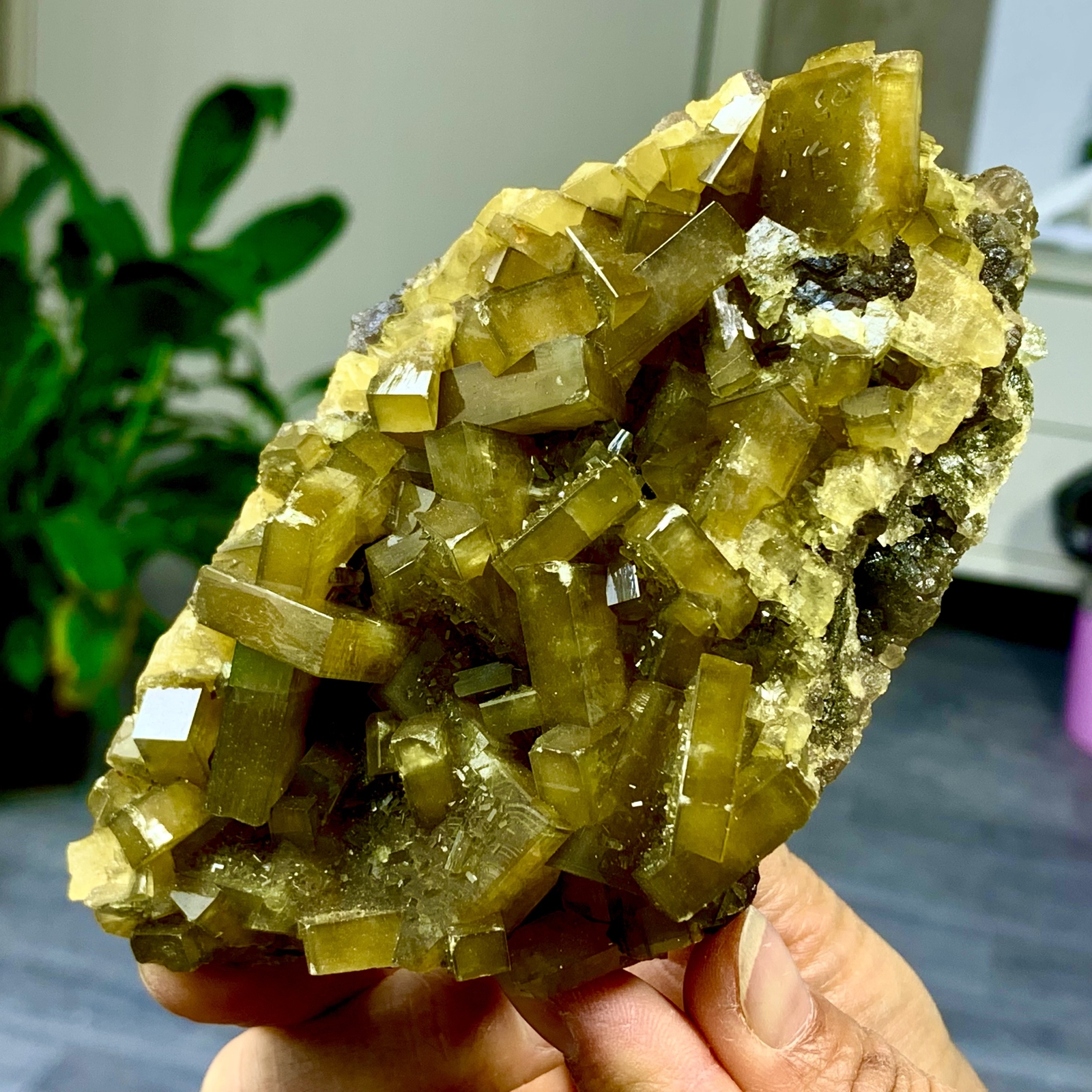 1.63LB Shiny Golden Cuboid Barite Crystal Based on the Purple Spherical Fluorite