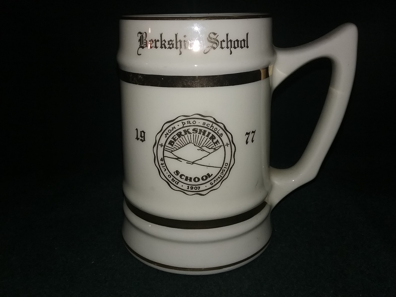 Amazing Vintage 1977 Berkshire School Ceramic Stein by WC Bunting VGC RARE 6\