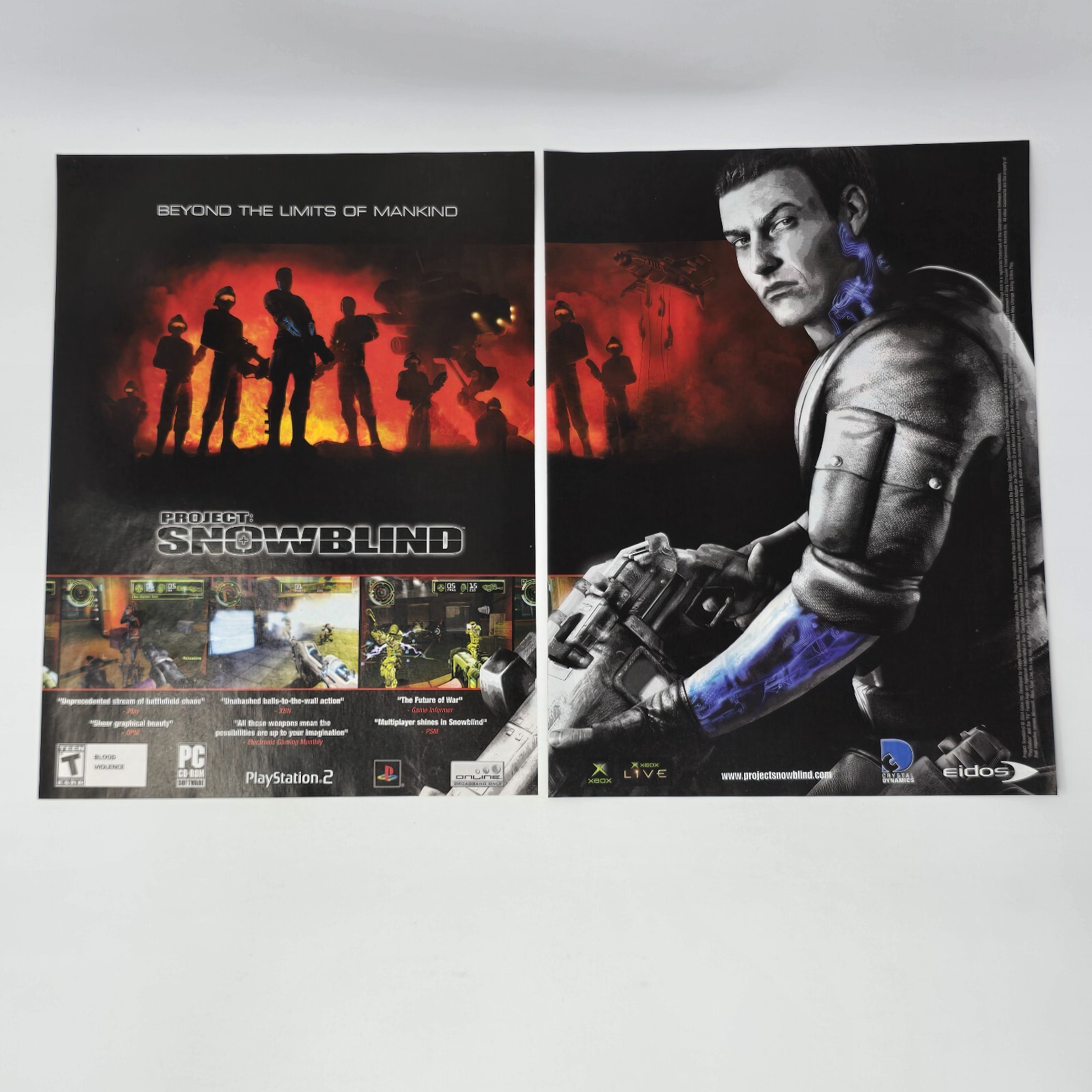 Project Snowblind PlayStation 2 PS2 Xbox PC Limits Print Ad/Poster Promo Art