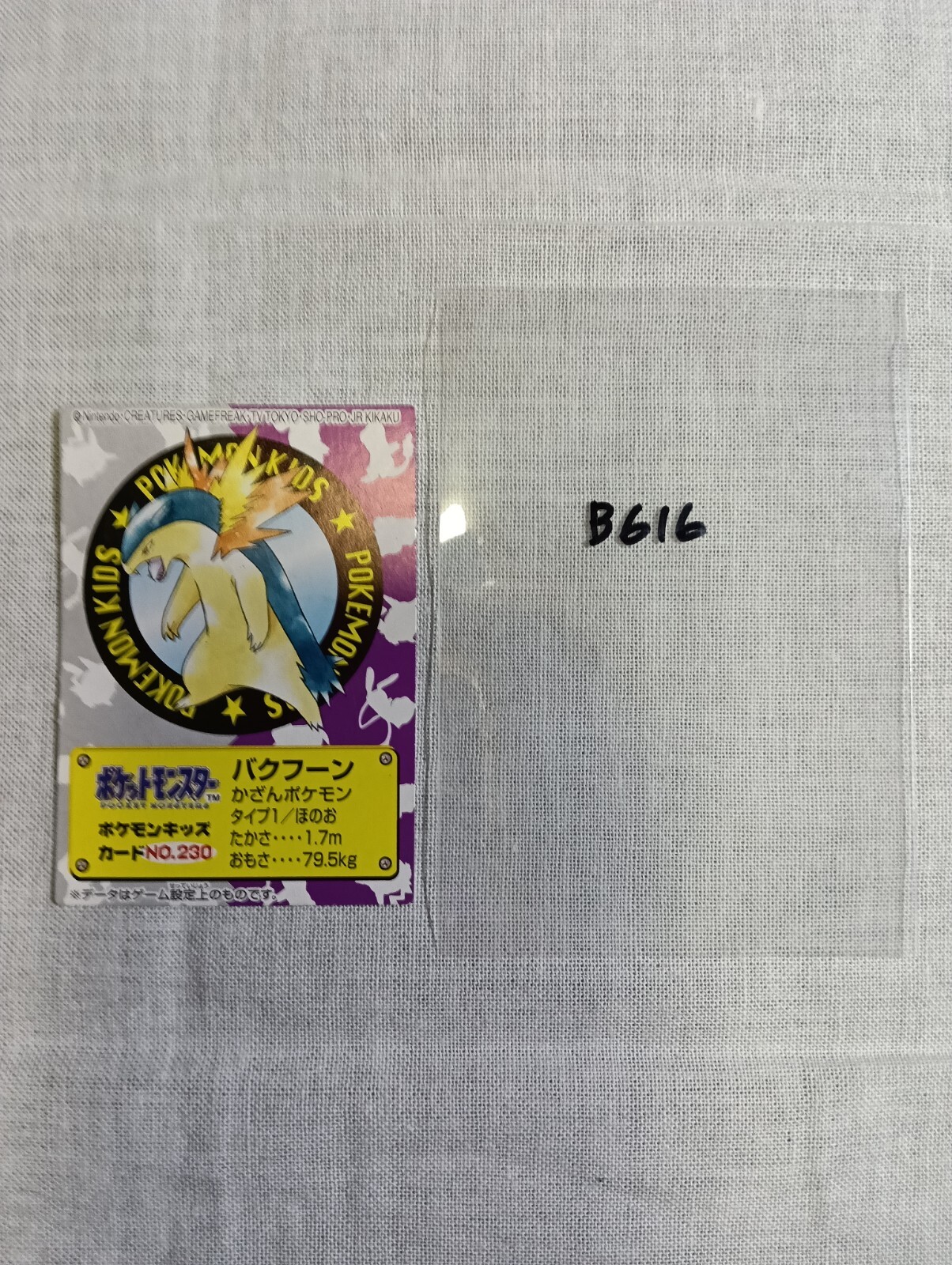 Typhlosion Nintendo Bandai Japanese Pokemon Kids Mini Card B616