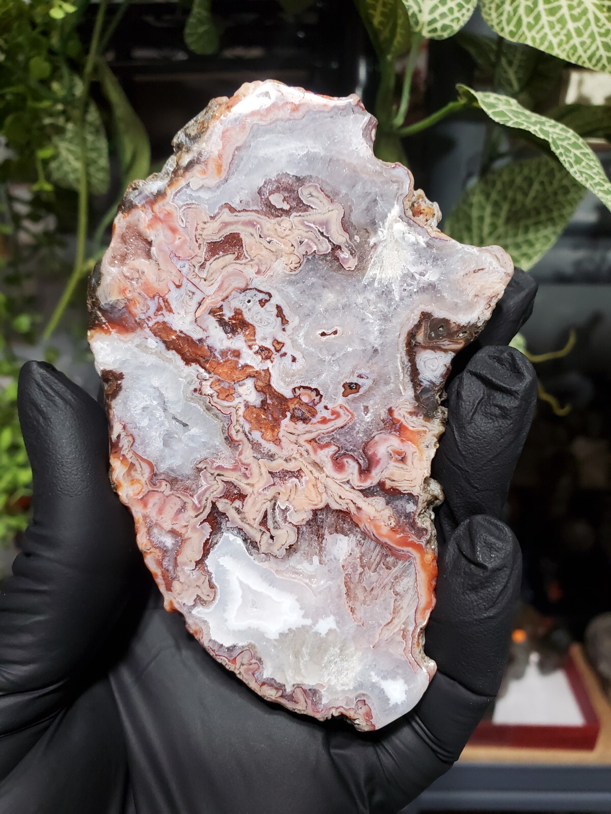 Crazy Lace With Quartz  Unique 150g 