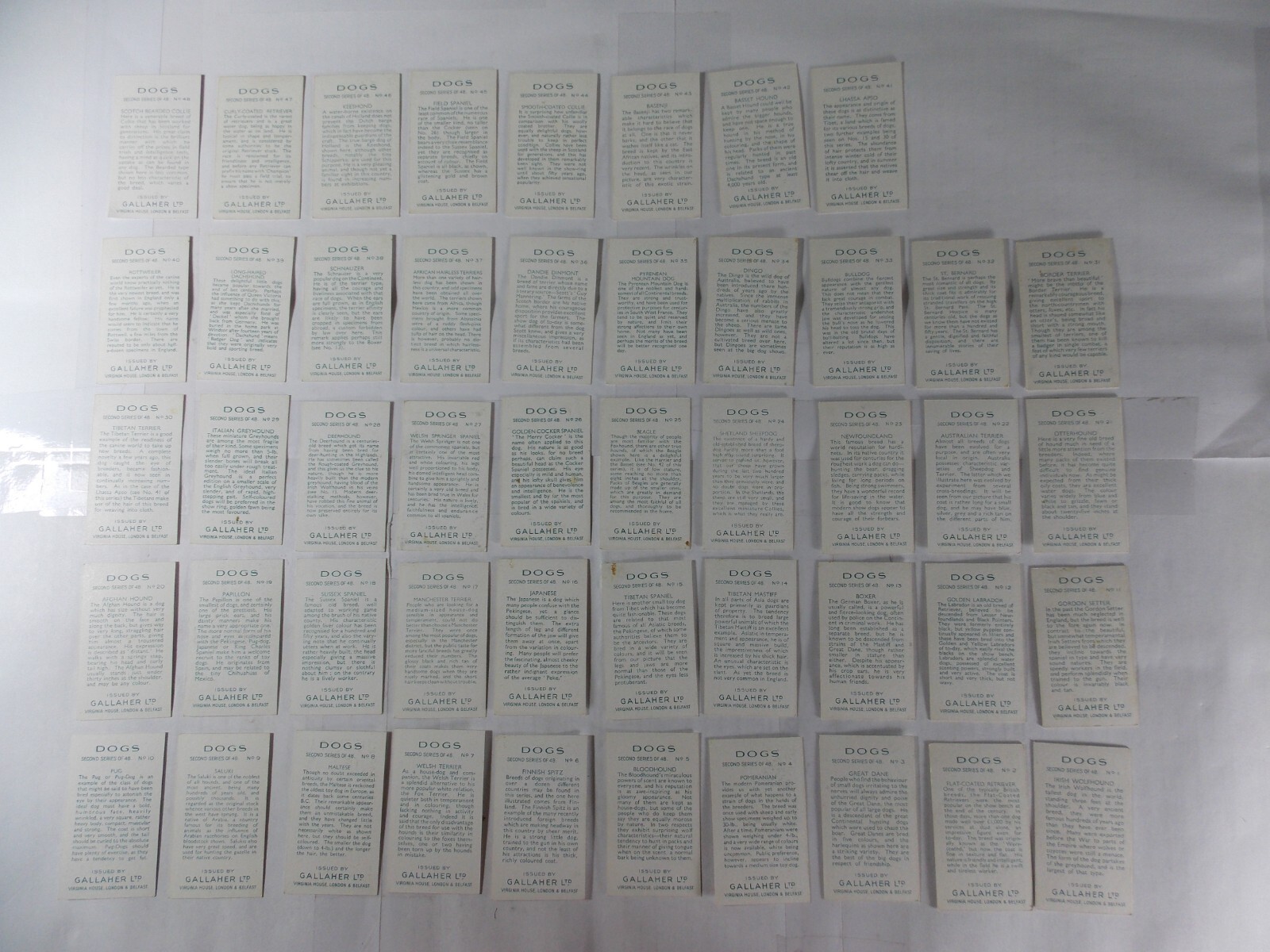 Gallaher Cigarette Cards Dogs 2nd Series 1938 Complete Set 48