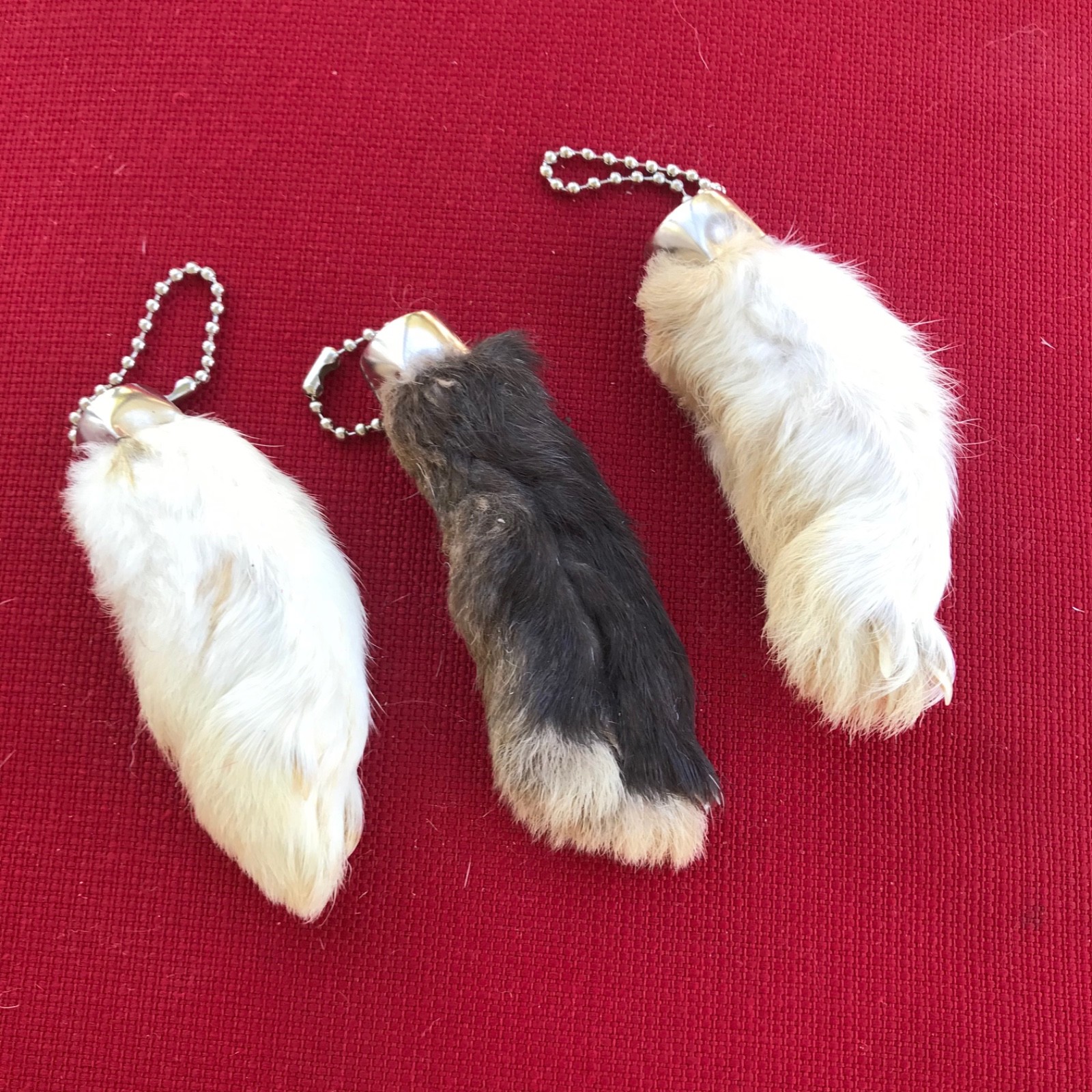 GENUINE Real Lucky Rabbit Foot Keychain Set of 3