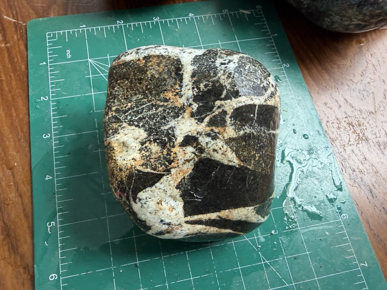 Brecciated Stone with Quartz Veins•Black & White Natural Rock•Lapidary•Cutting