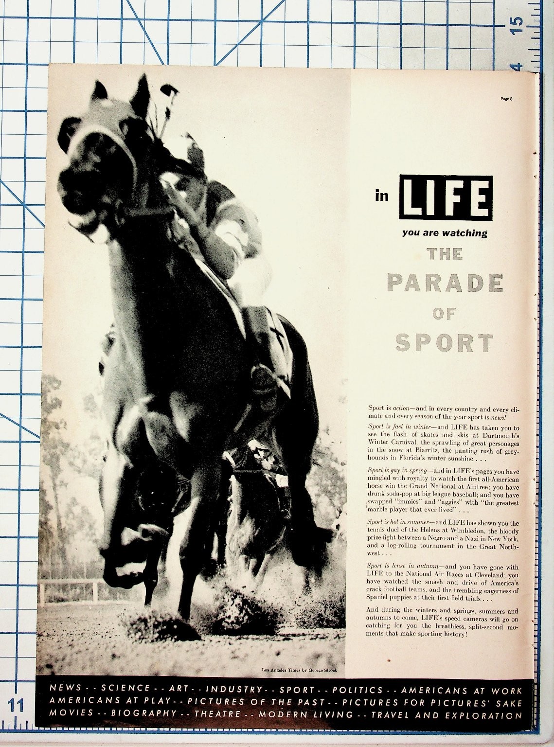 LIFE Magazine Original Page The Parade of Sport Horse Racing Jockey Print Ad