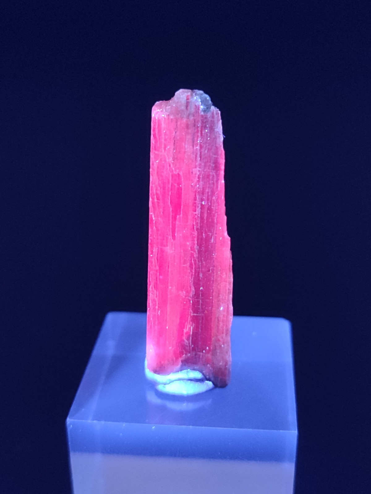 13-CT New Find Natural Fluorescent Gemmy Blue Kyanite Crystal - Afghanistan