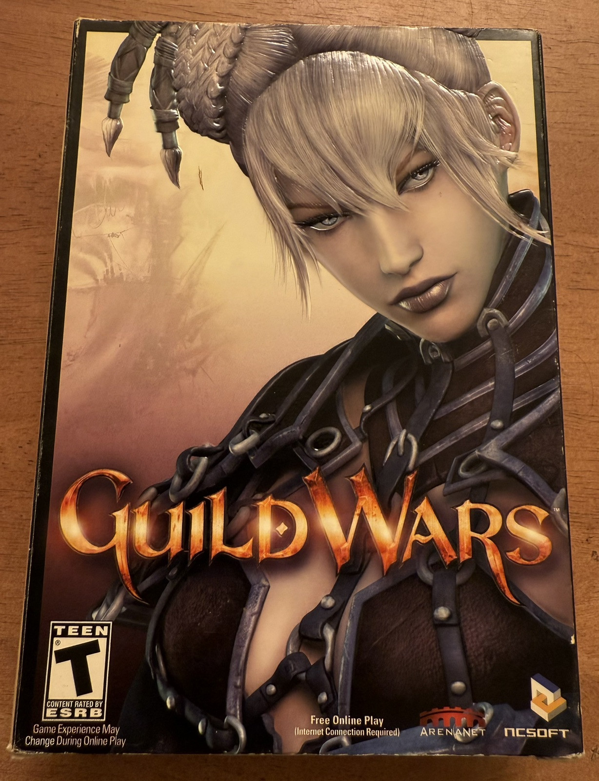 Guild Wars Game of the Year - PC (Excellent Condition, Never Played)