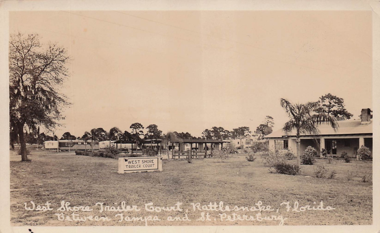 St Petersburg Rattlesnake FL Florida West Shore Trailer Park Photo Postcard 3A