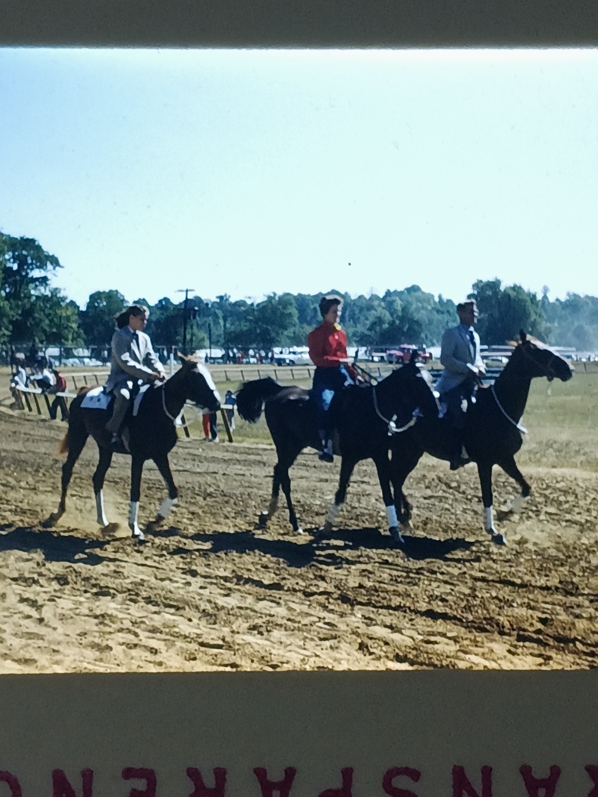 c1960\'s Kodachrome 35mm Slide,Man Women Horses Horse Show Fair