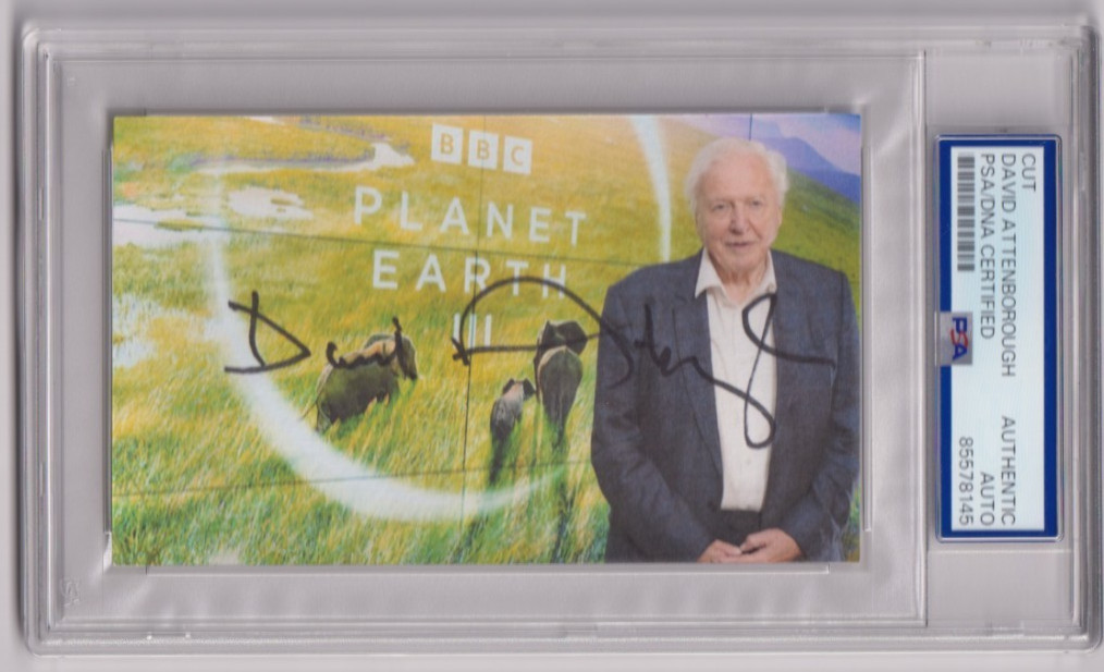 Sir DAVID ATTENBOROUGH Signed AUTO Planet Earth Art Index Card PSA DNA Certified