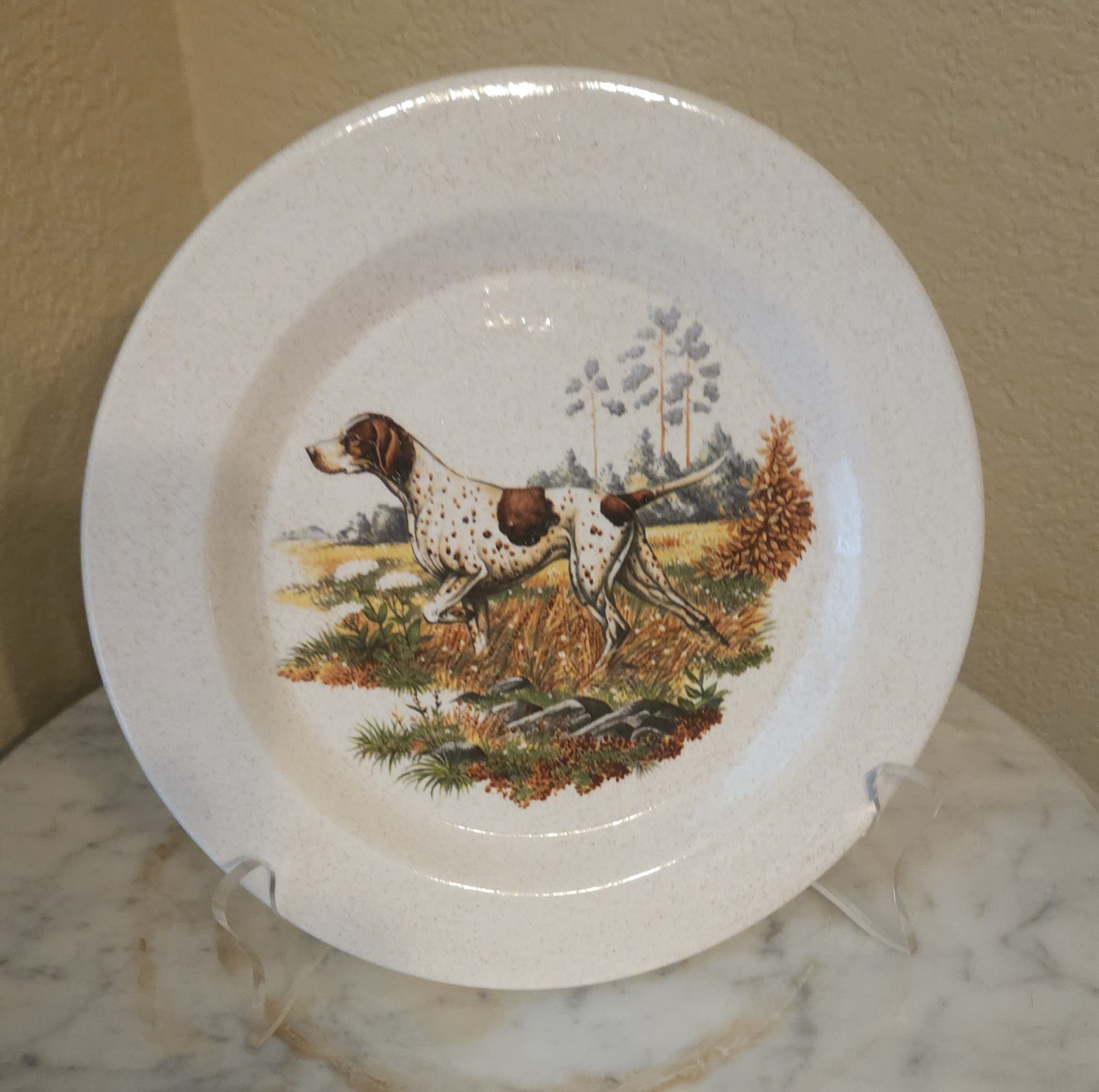 Pointer GSP Hunting Dog Decorative Plate