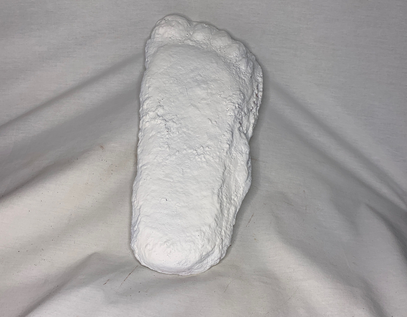 Bigfoot, Sasquatch, Patterson Gimlin Foot Casting, Contains Real Artifacts, Book