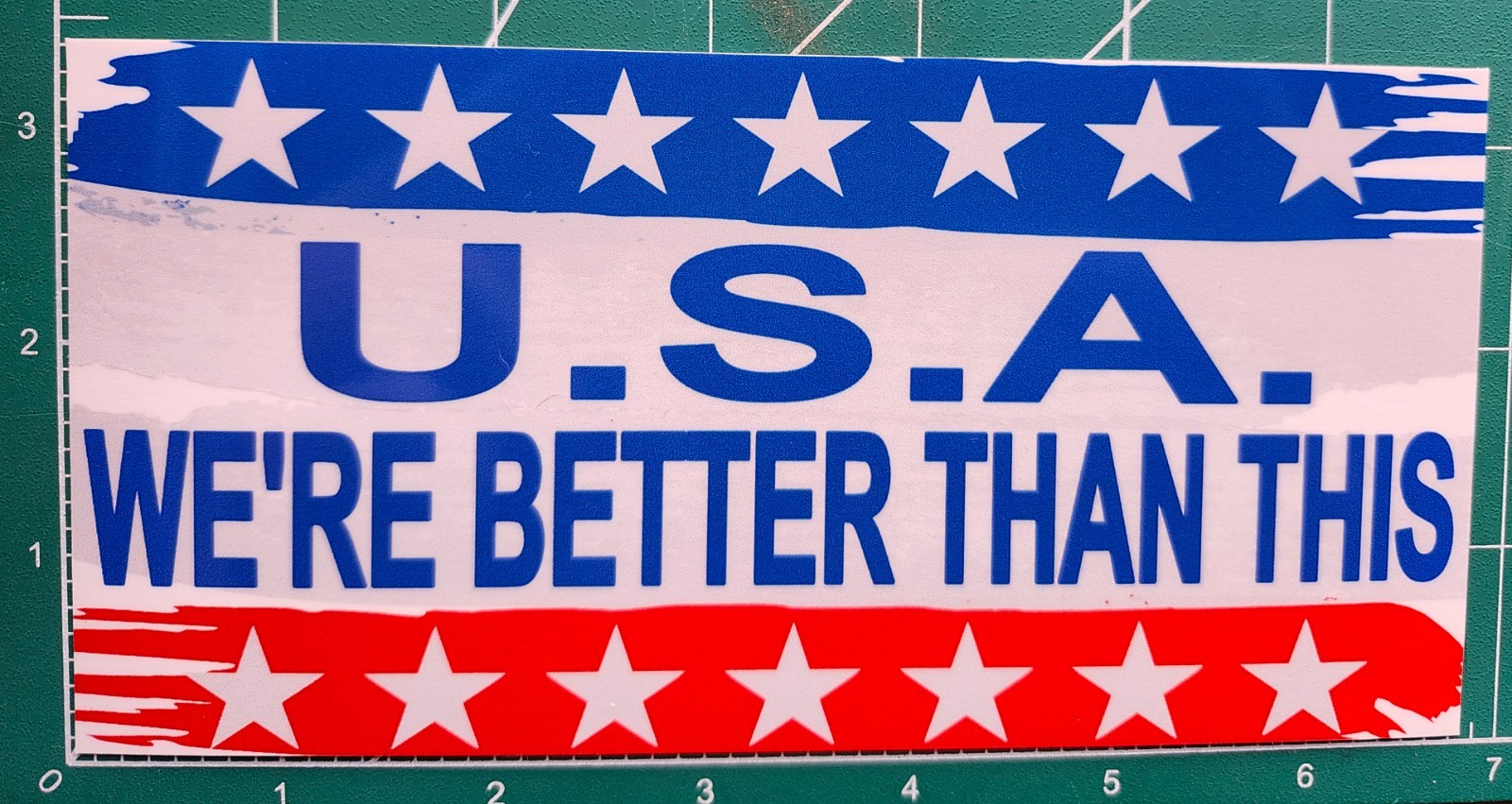 USA WE\'RE BETTER THAN THIS POLITICAL BUMPER STICKER TRUMP ANTI PATRIOTIC PATRIOT