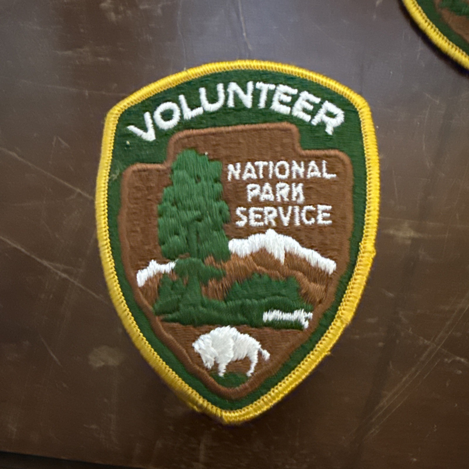 Vintage National Park Service Arrowhead Patch volunteer