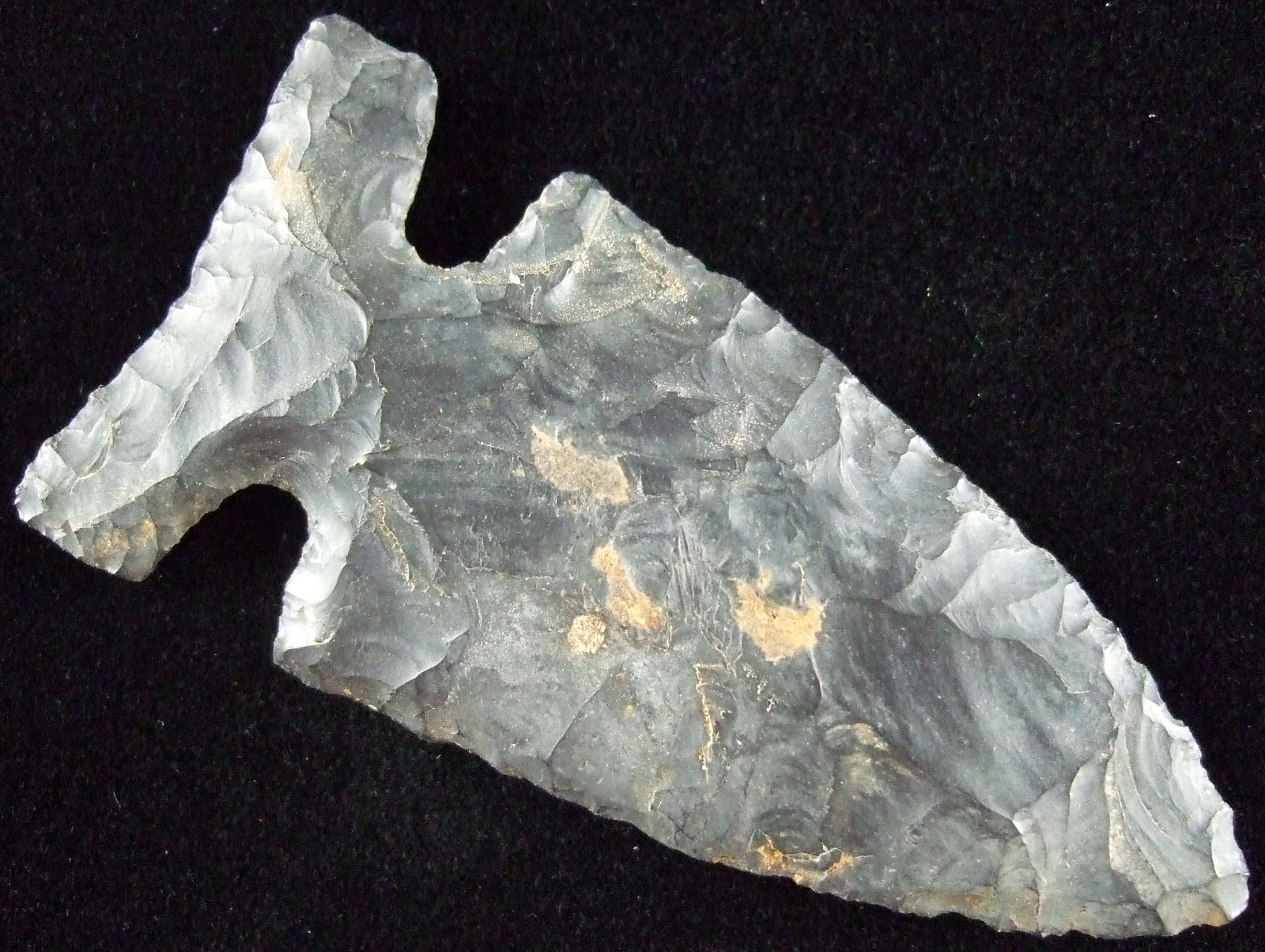 Exceptionally Fine Ohio Big Sandy Point with T&T COA Arrowheads
