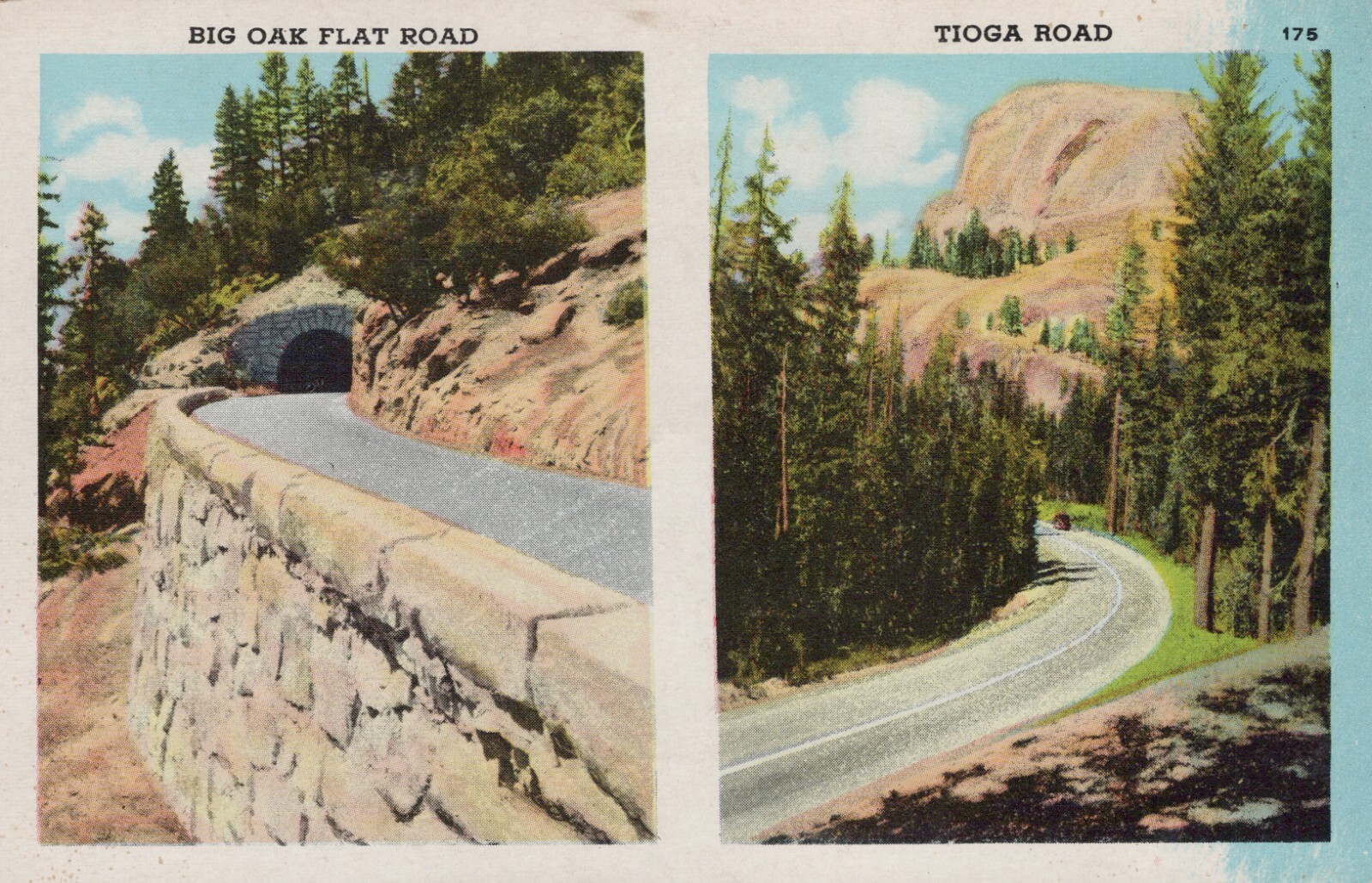 Big Oak Flat Road Tioga Road California Linen Vintage Post Card