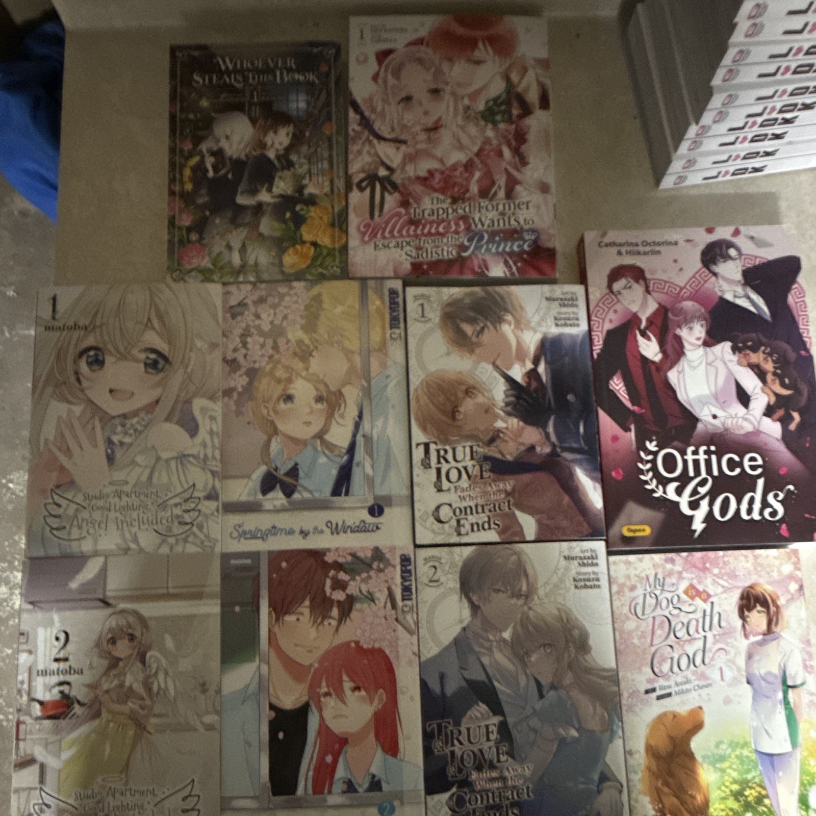 Whoever Steals This Book Manga Mixed Lot English Softcover Volumes