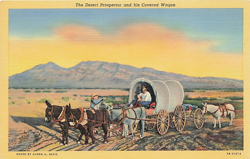 Postcard NV: Desert Prospector and Covered Wagon, Nevada, Linen
