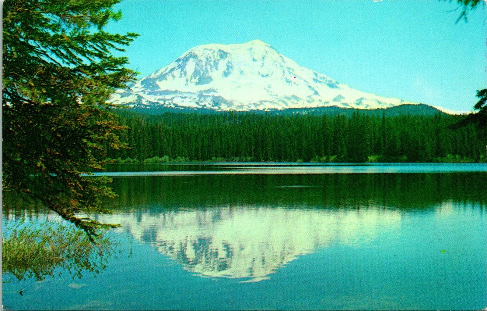 Mt Adams WA Tkhlakh Lake Postcard Unused (32978)