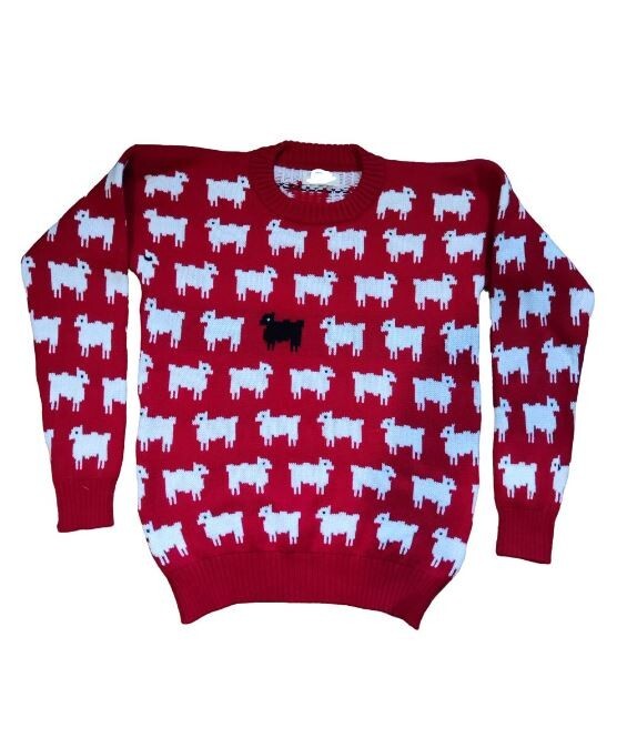 Princess Diana Black Sheep Jumper - Small