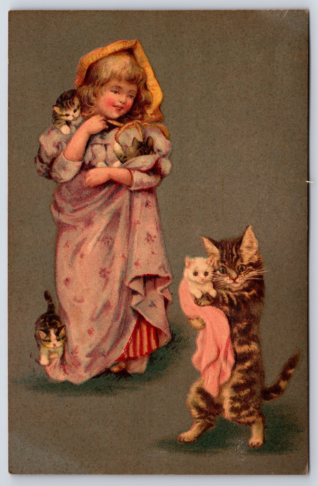 Victorian Girl With Cats Kittens Vintage Embossed Postcard