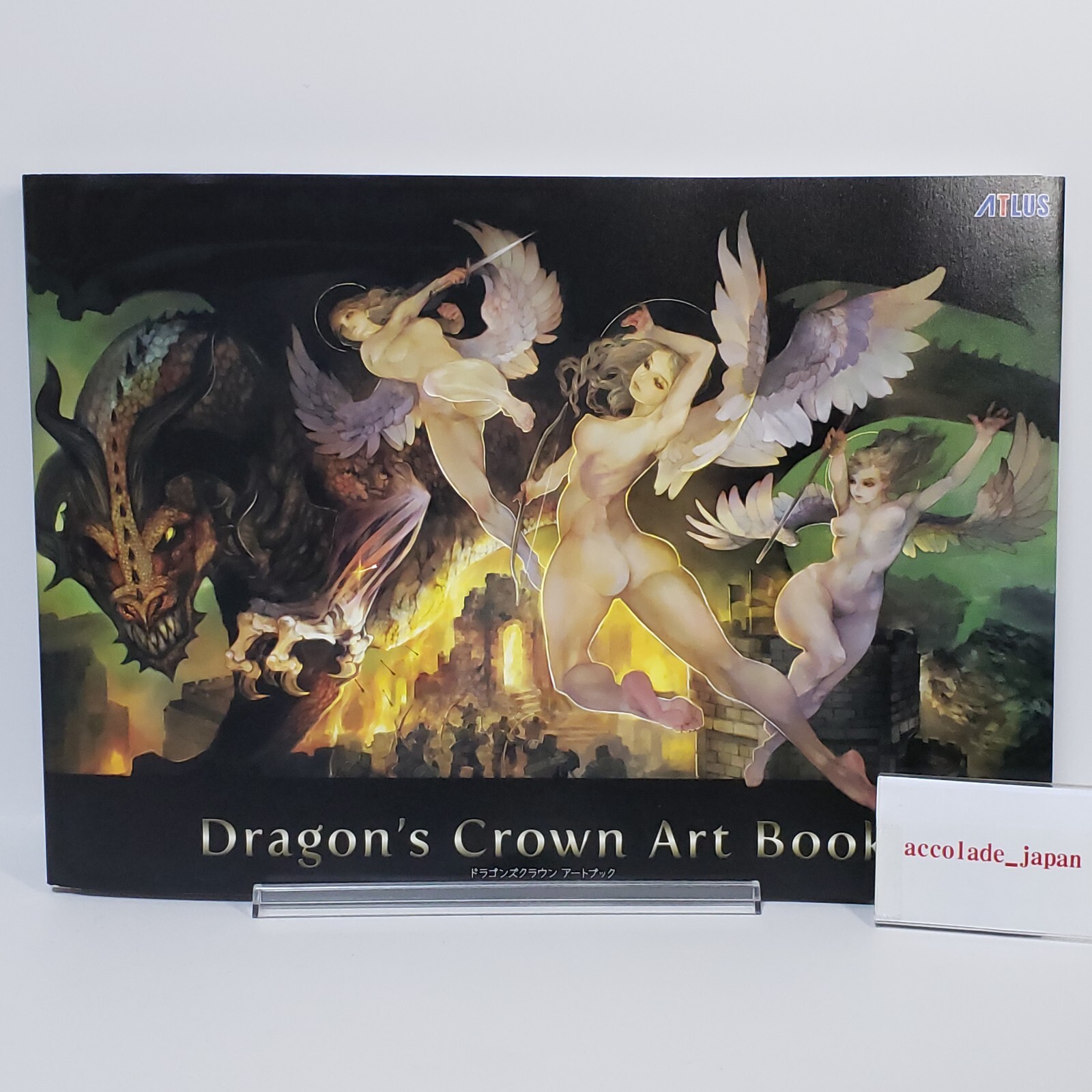 Dragon's Crown Art Book 208P