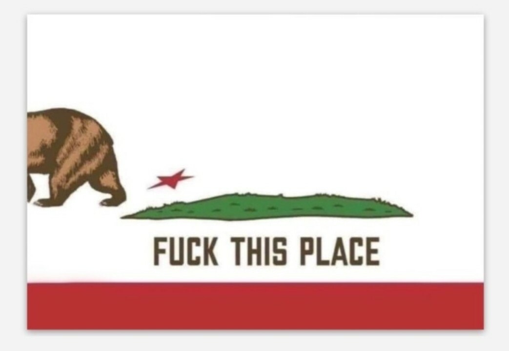 California State Flag Bumper Sticker Decal FUNNY HEAVY DUTY 5 pack LOT 