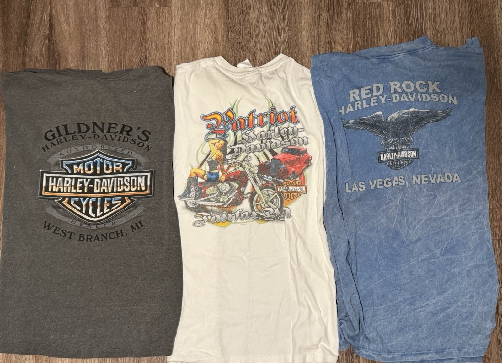 Lot of (3) Vintage Early 2000\'s Official Harley Davidson T-Shirts Men\'s Size M