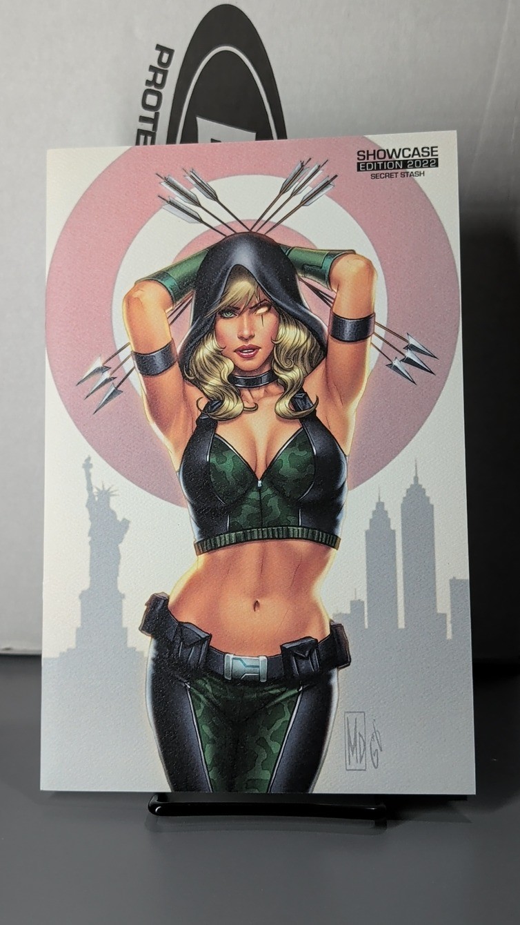 Robyn Hood Outlaw #4 Showcase Leather Canvas Variant Print Zenescope