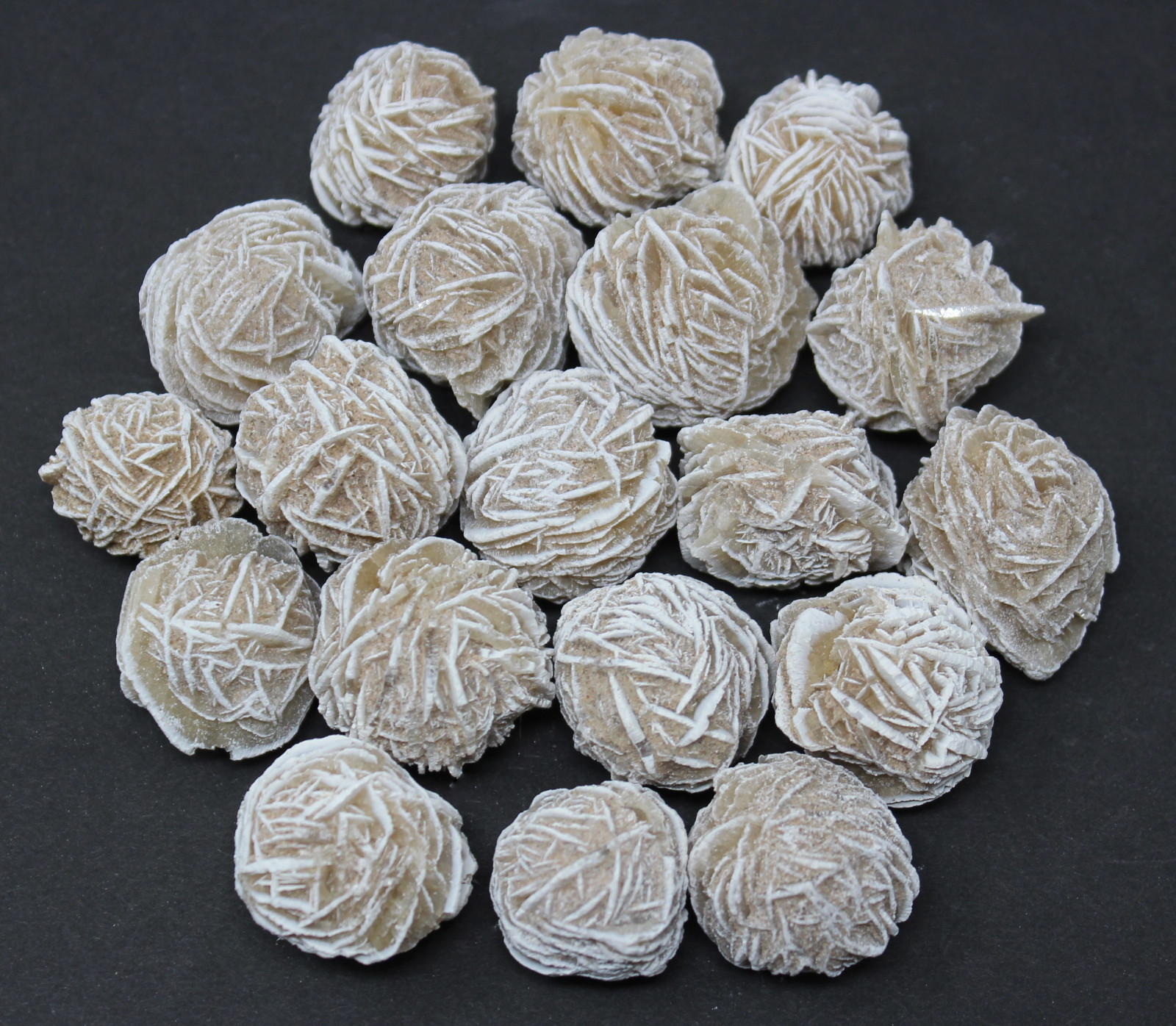 4 oz Desert Rose Selenite Buds Rough Natural Stones (\'A\' Grade) 1/4 lb