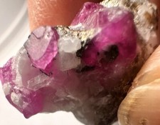 59.ct/top Robin Crystal Gorgeous Colour. Aus AFG picture