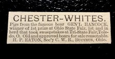 1886 H.P. Eaton Hog Pig Farm Advertising - Bucyrus - Ohio picture