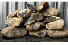 Texas Primo Thin Chert Flint Knapping Material Arrowheads Med FlatRate Box full picture
