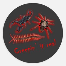 Creepin it Real trio centipede scorpion tarantula pun 1.5in sticker picture