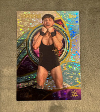 Topps 2026 WWE RAW Universe Pete Dunne #186 Serial Numbered 102/299 picture